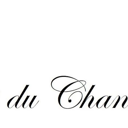 Logis Du Chandelier Le Puy-en-Velay المظهر الخارجي الصورة