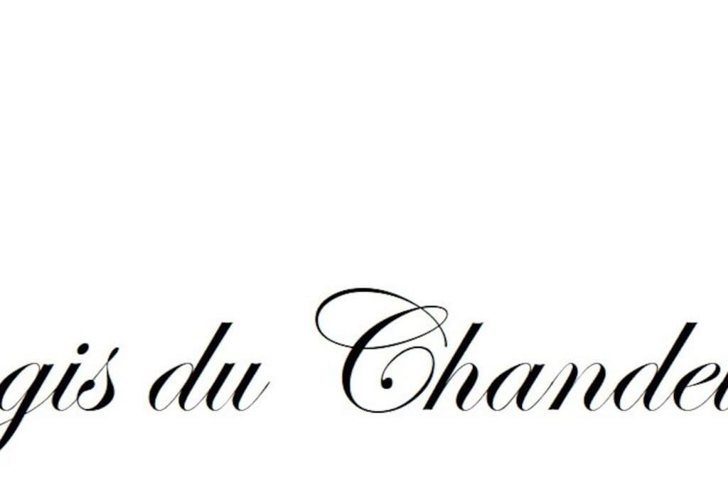 Logis Du Chandelier Le Puy-en-Velay المظهر الخارجي الصورة